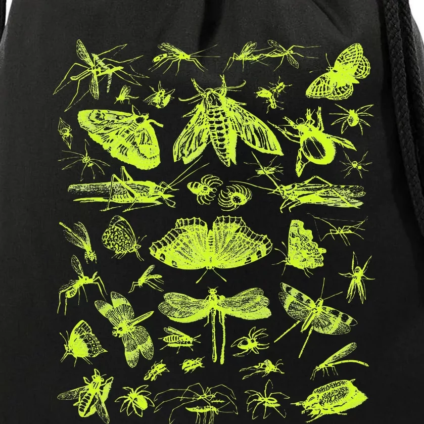 Insect Collection Bugs Entomologists Drawstring Bag