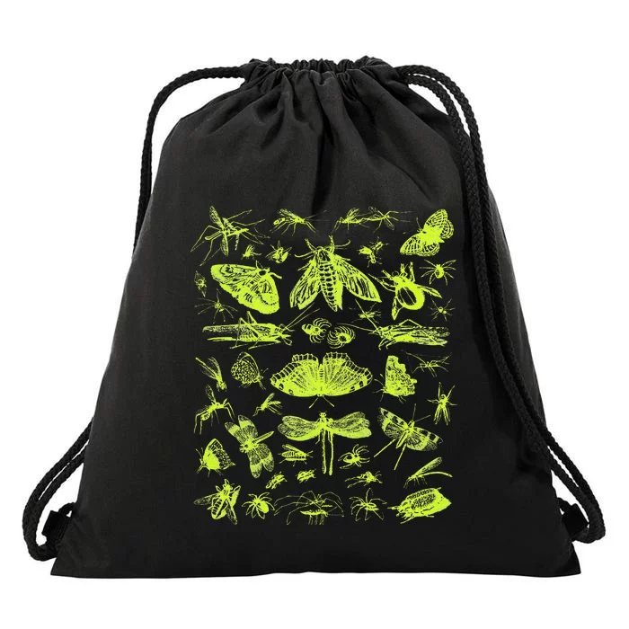 Insect Collection Bugs Entomologists Drawstring Bag