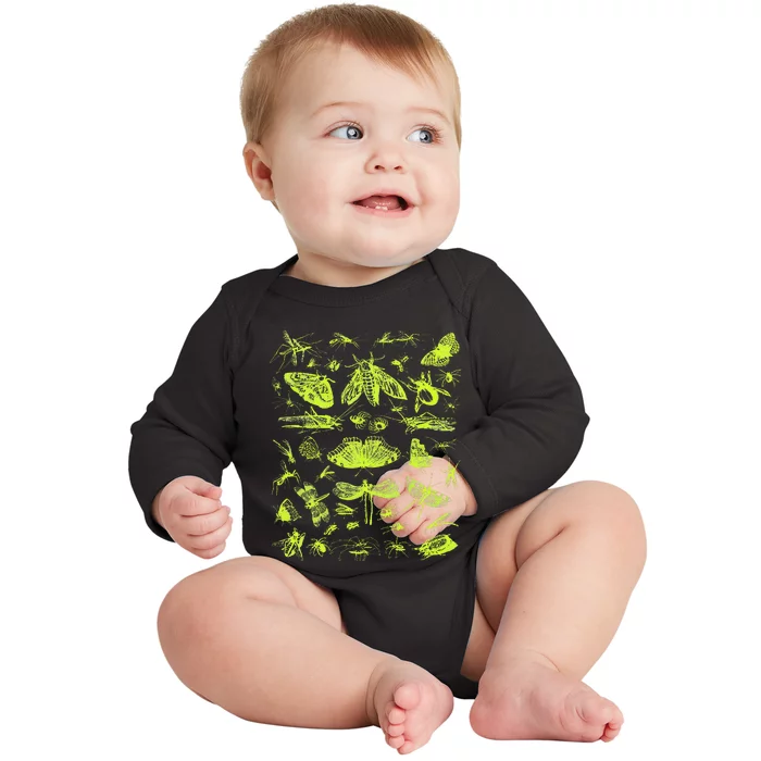 Insect Collection Bugs Entomologists Baby Long Sleeve Bodysuit