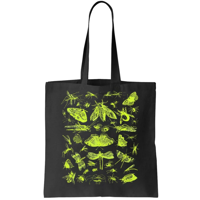 Insect Collection Bugs Entomologists Tote Bag