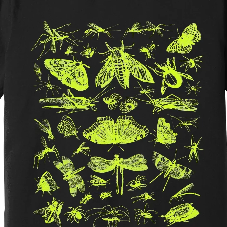 Insect Collection Bugs Entomologists Premium T-Shirt