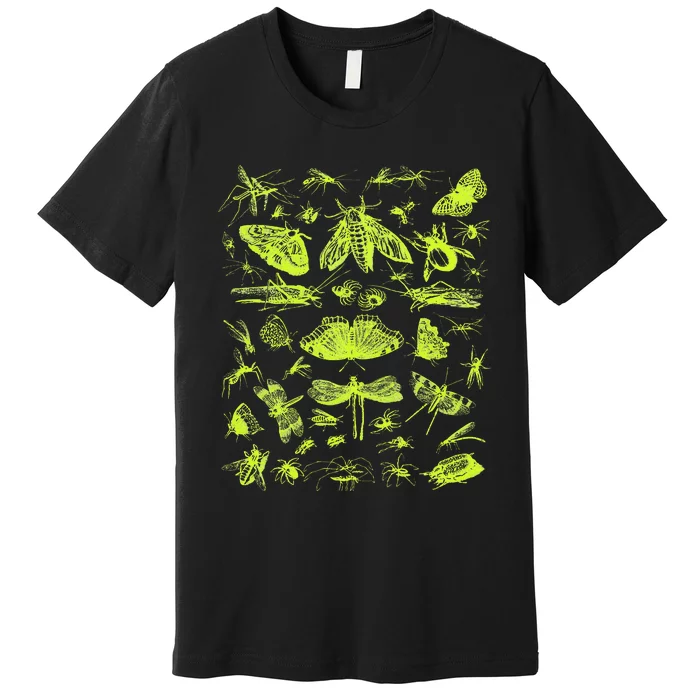 Insect Collection Bugs Entomologists Premium T-Shirt