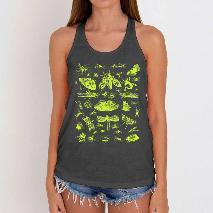 Insect Collection Bugs Entomologists Women's Knotted Racerback Tank