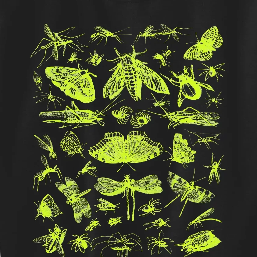 Insect Collection Bugs Entomologists Kids Sweatshirt