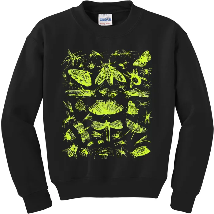 Insect Collection Bugs Entomologists Kids Sweatshirt