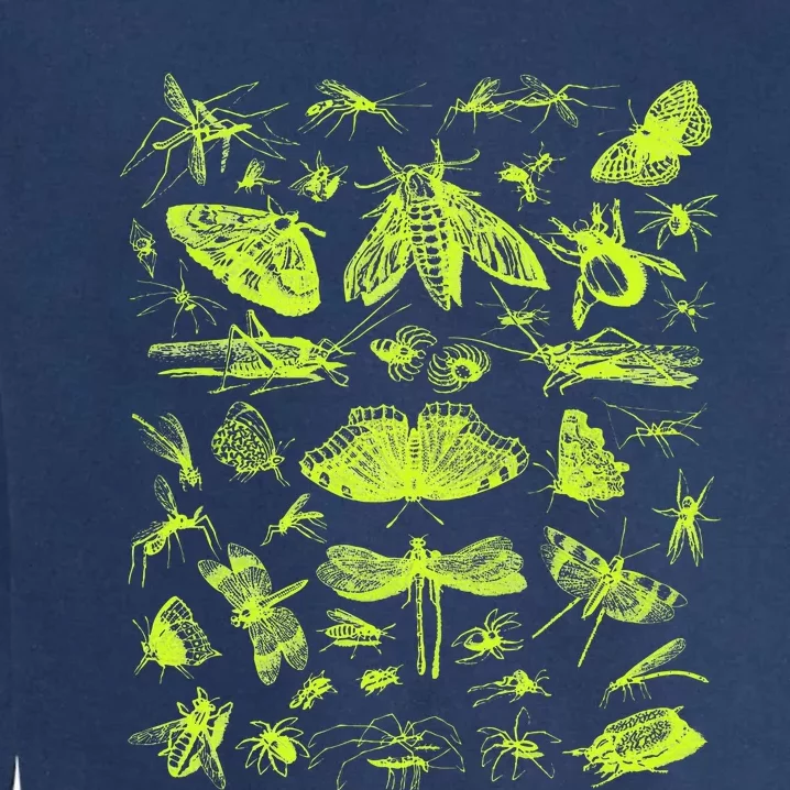 Insect Collection Bugs Entomologists Garment-Dyed Sweatshirt