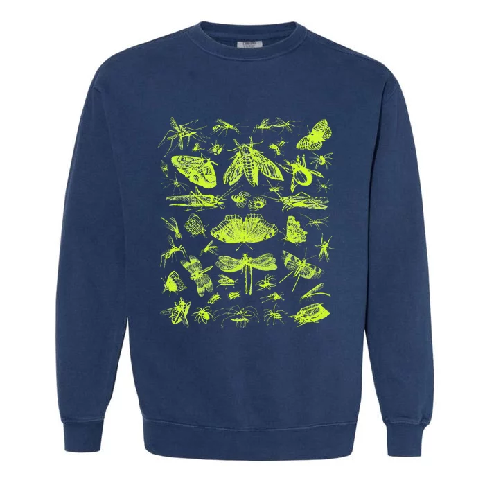 Insect Collection Bugs Entomologists Garment-Dyed Sweatshirt