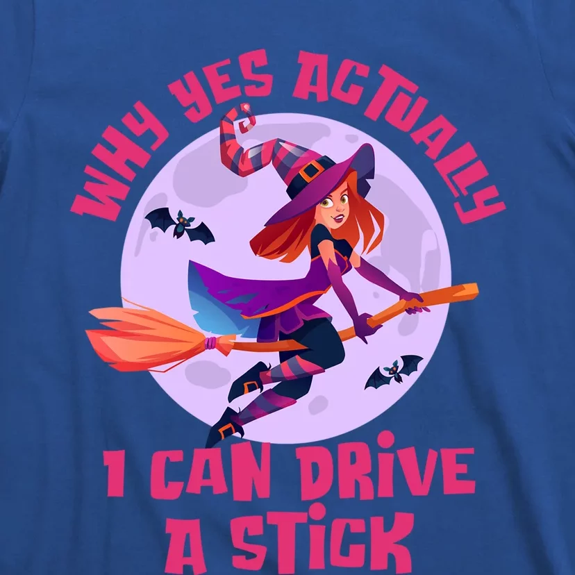 I Can Drive A Stick Cute Witch Riding Magic Broom Halloween Cute Gift T-Shirt