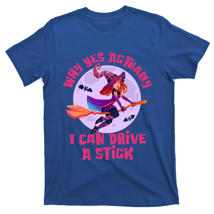 I Can Drive A Stick Cute Witch Riding Magic Broom Halloween Cute Gift T-Shirt