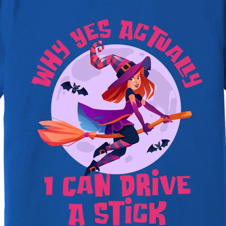 I Can Drive A Stick Cute Witch Riding Magic Broom Halloween Cute Gift Premium T-Shirt