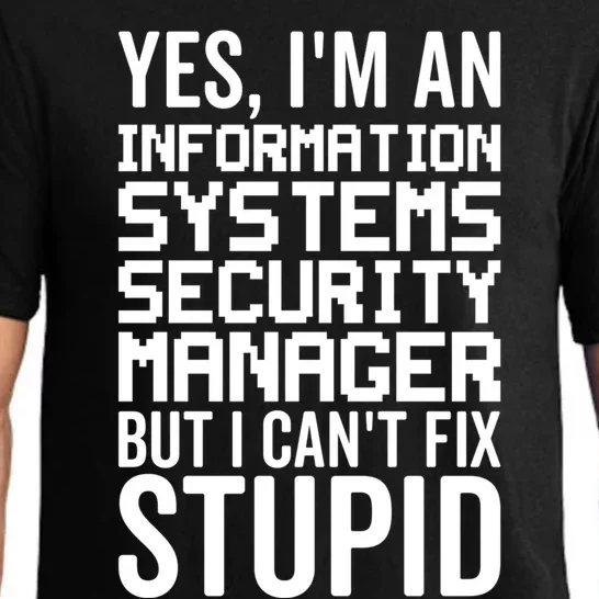 I Can't Fix Stupid Gift Information Systems Security Ager Cute Gift Pajama Set