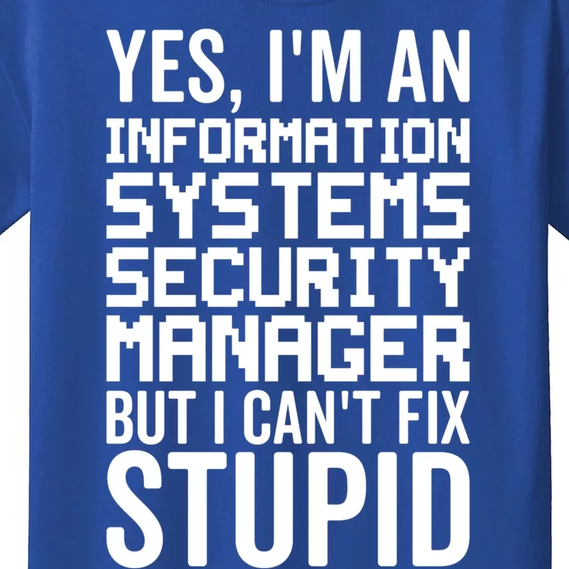 I Can't Fix Stupid Gift Information Systems Security Ager Cute Gift Kids T-Shirt