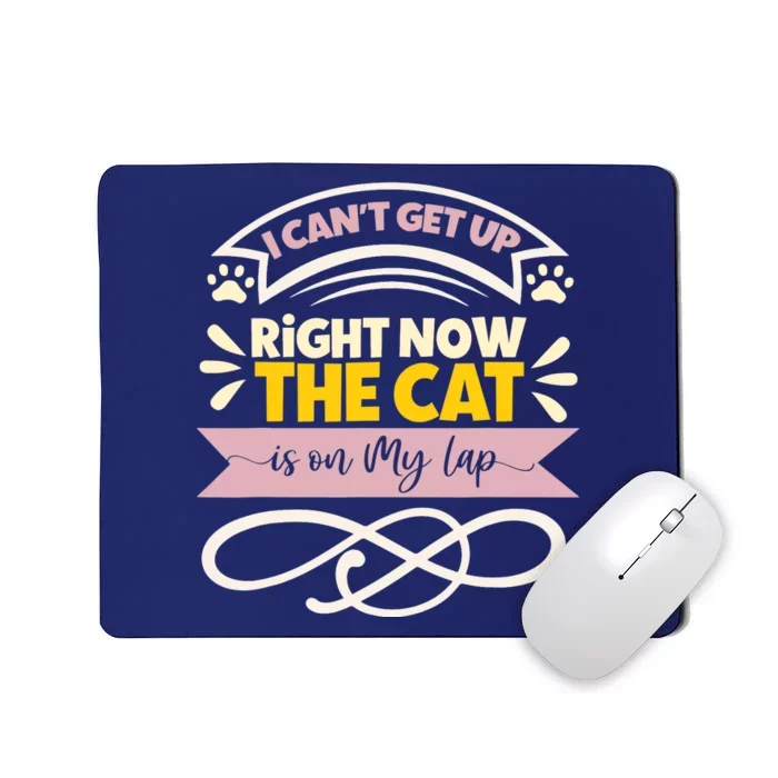 I Can't Get Up Right Now The Cat Is On My Lap, Funny Cat Mousepad