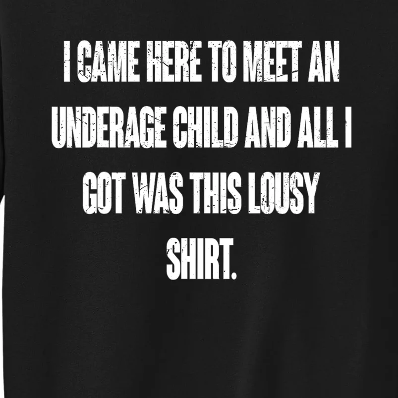 I Came Here To Meet An Underage Child I Got Was This Lousy Tall Sweatshirt