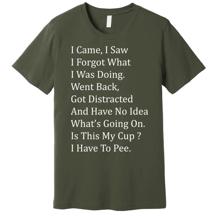 I Came I Saw Premium T-Shirt