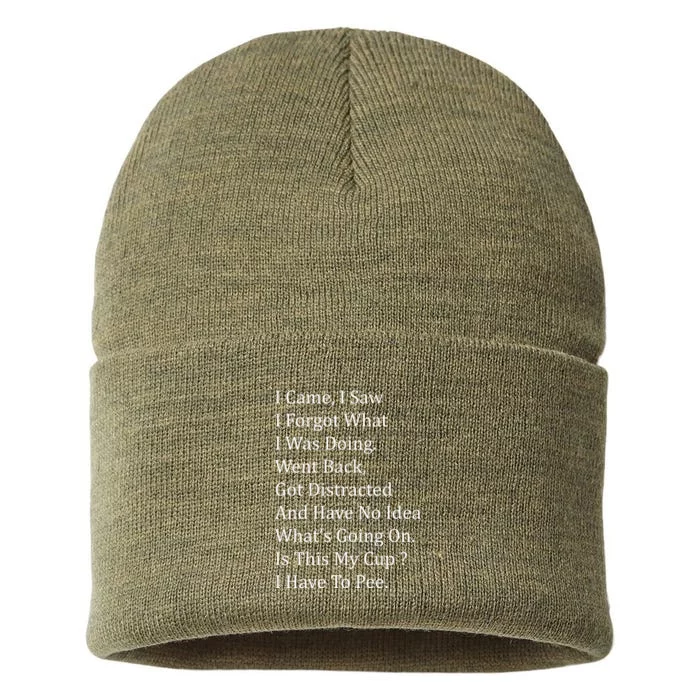 I Came I Saw Sustainable Knit Beanie