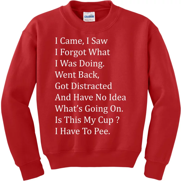 I Came I Saw Kids Sweatshirt