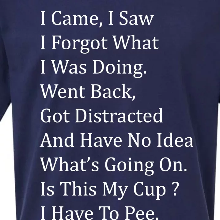 I Came I Saw Sueded Cloud Jersey T-Shirt