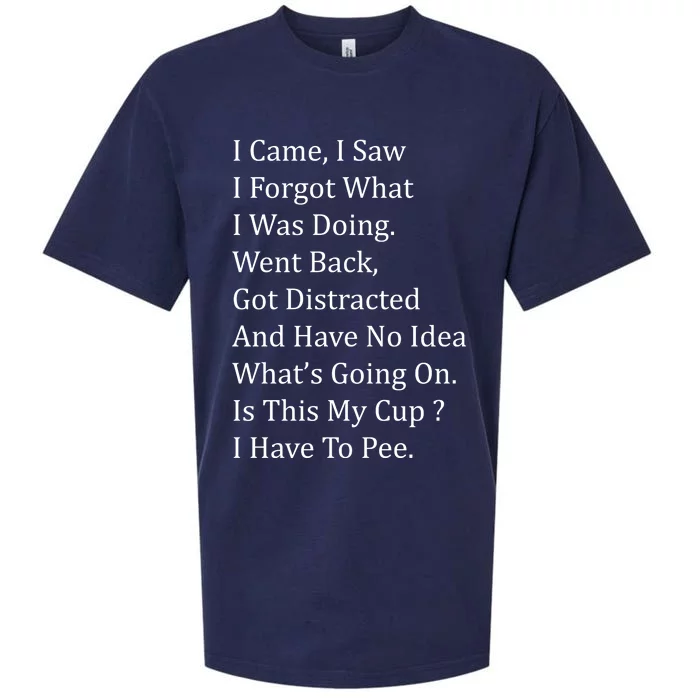 I Came I Saw Sueded Cloud Jersey T-Shirt