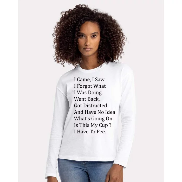 I Came I Saw Womens Cotton Relaxed Long Sleeve T-Shirt