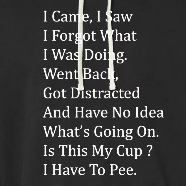 I Came I Saw I Forgot What I Was Doing I Have To Pee Funny Garment-Dyed Fleece Hoodie