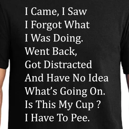 I Came I Saw I Forgot What I Was Doing I Have To Pee Funny Pajama Set