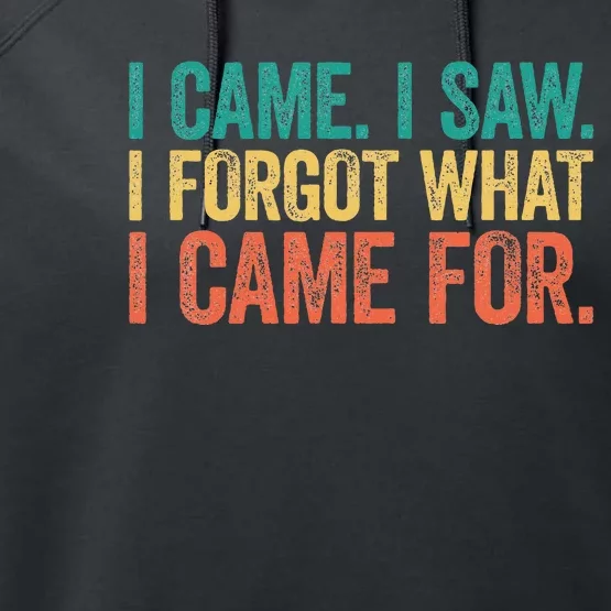 I Came I Saw I Forgot What I Came Performance Fleece Hoodie