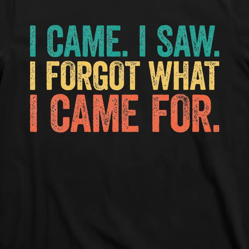 I Came I Saw I Forgot What I Came T-Shirt