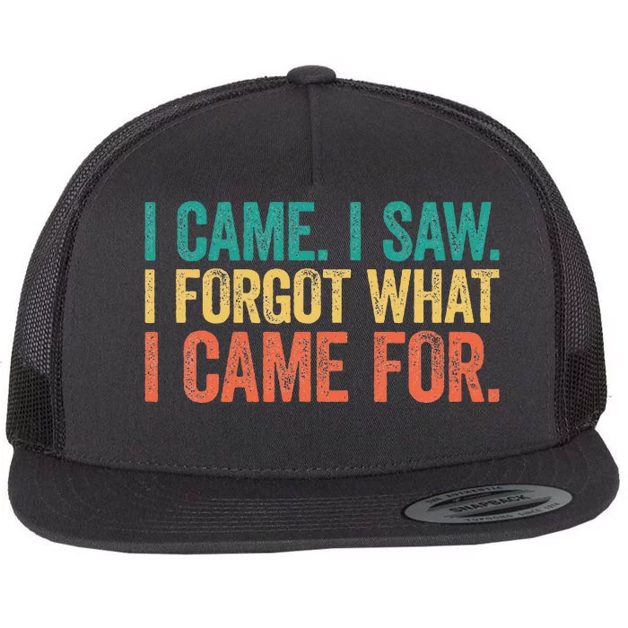 I Came I Saw I Forgot What I Came Flat Bill Trucker Hat