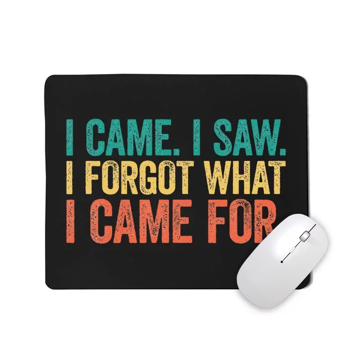 I Came I Saw I Forgot What I Came Mousepad