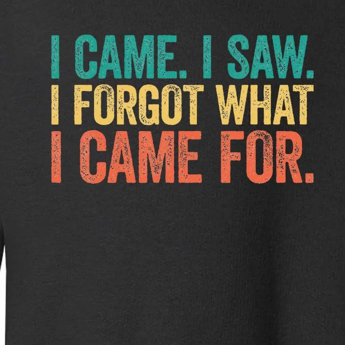 I Came I Saw I Forgot What I Came Toddler Sweatshirt