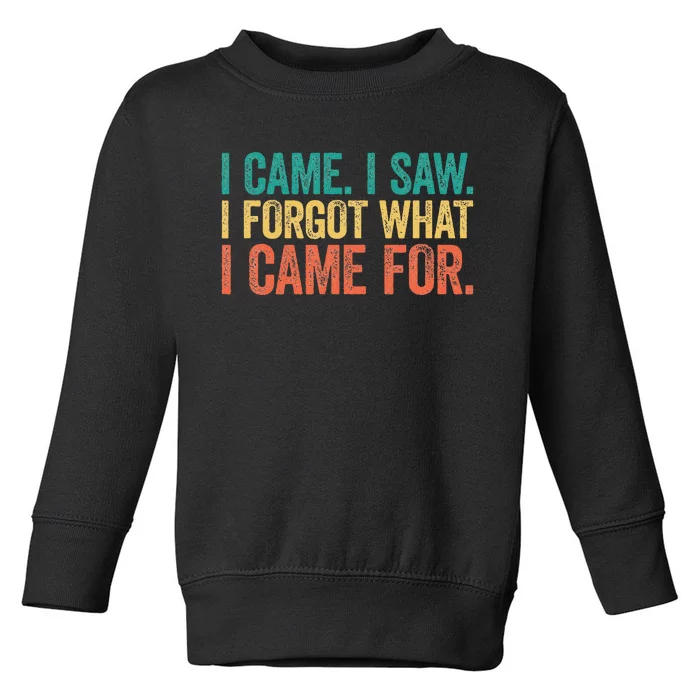 I Came I Saw I Forgot What I Came Toddler Sweatshirt