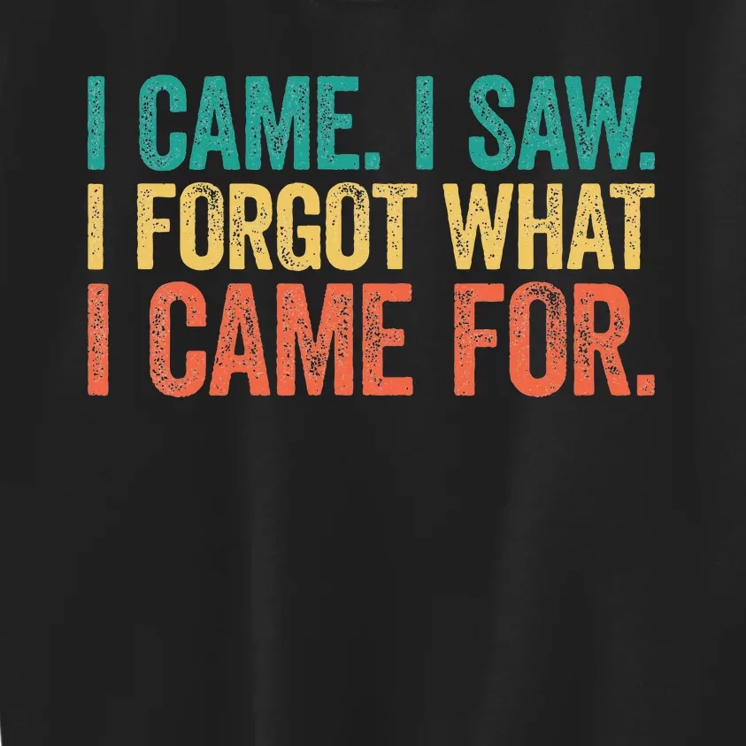 I Came I Saw I Forgot What I Came Kids Sweatshirt