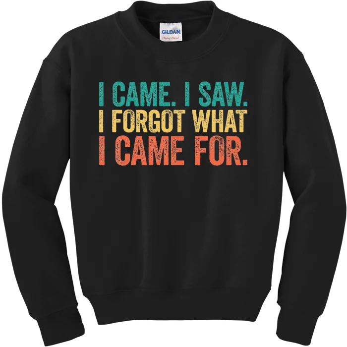 I Came I Saw I Forgot What I Came Kids Sweatshirt