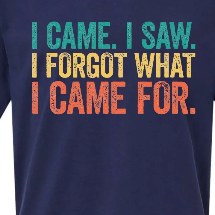 I Came I Saw I Forgot What I Came Sueded Cloud Jersey T-Shirt