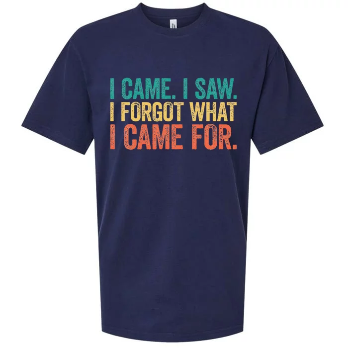 I Came I Saw I Forgot What I Came Sueded Cloud Jersey T-Shirt