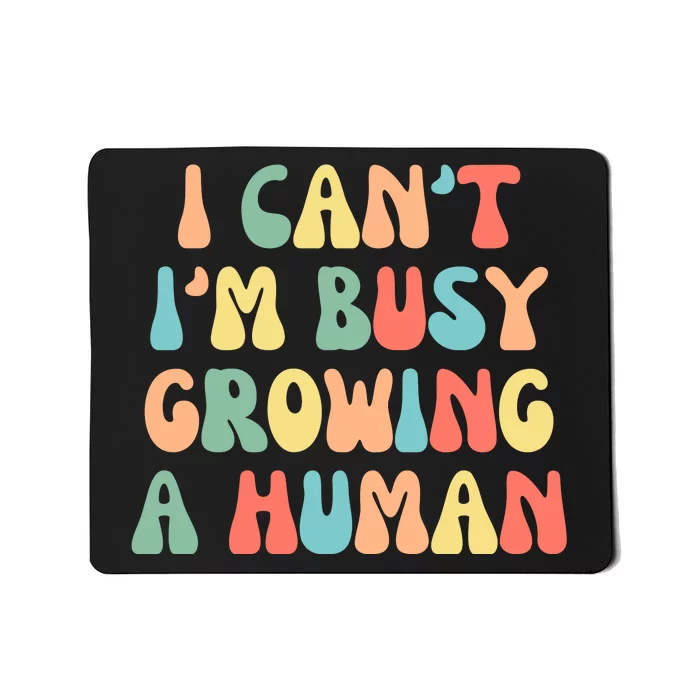 I Can't I'm Busy Growing A Human Funny Pregnant Mousepad