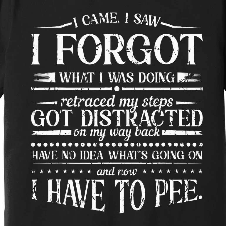 I Came I Saw I Forgot What I Was Doing Retraced Premium T-Shirt