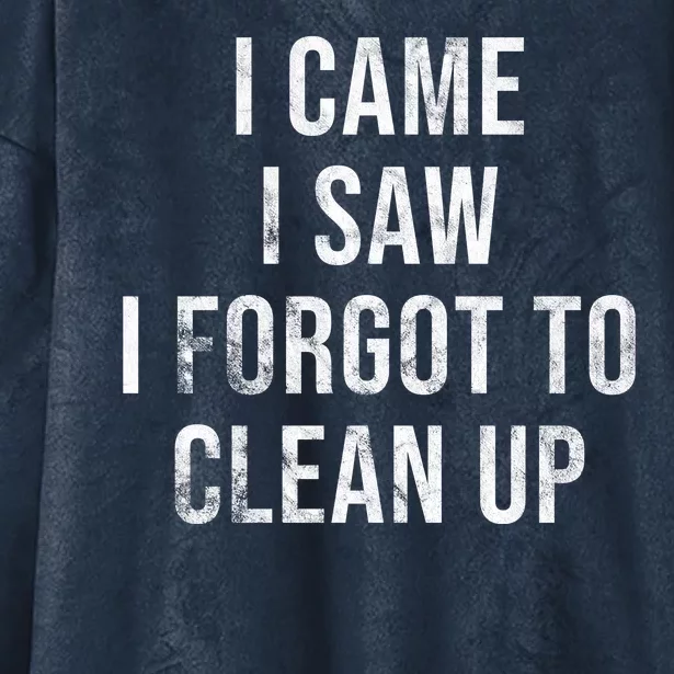 I Came I Saw I Forgot To Clean Up Funny Hooded Wearable Blanket