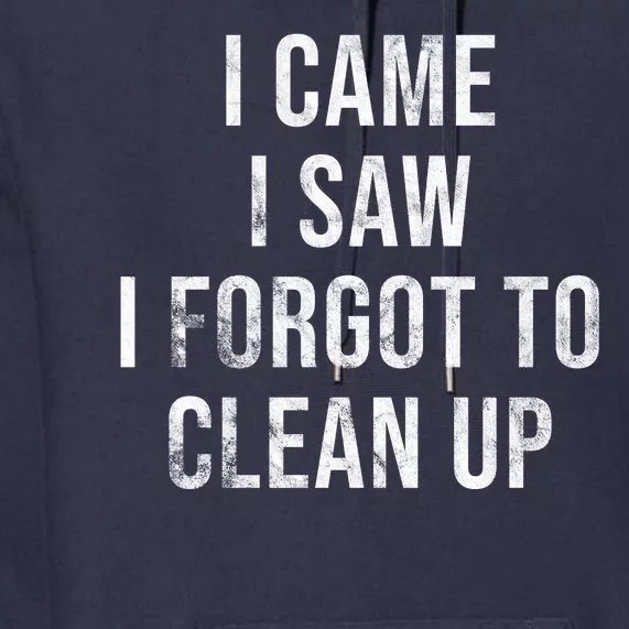 I Came I Saw I Forgot To Clean Up Funny Premium Hoodie