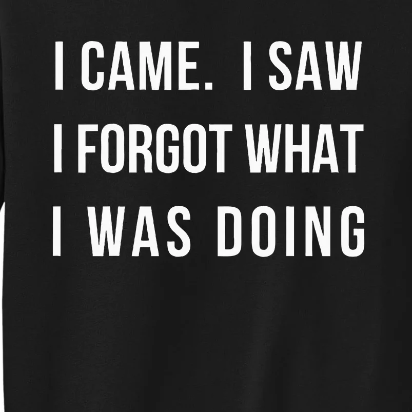 I Came I Saw I Forgot What I Was Doing Tall Sweatshirt