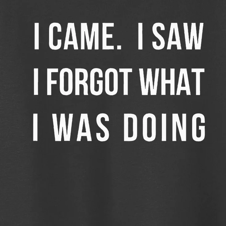 I Came I Saw I Forgot What I Was Doing Toddler T-Shirt