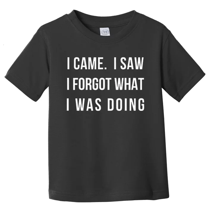 I Came I Saw I Forgot What I Was Doing Toddler T-Shirt