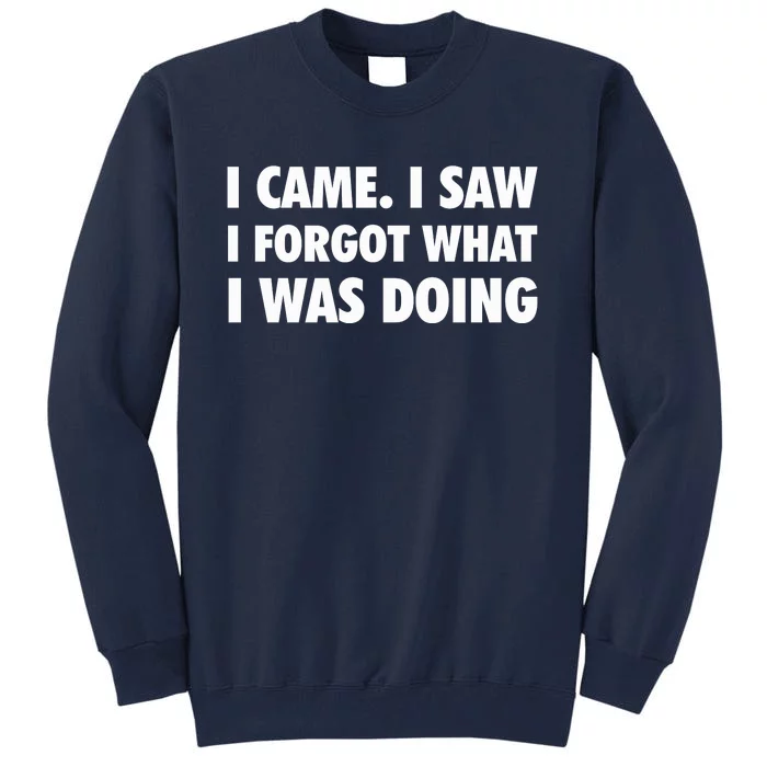 I Came I Saw I Forgot What I Was Doing Sarcastic Tall Sweatshirt