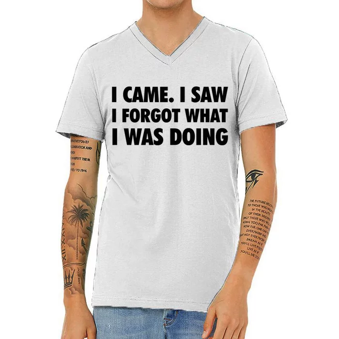 I Came I Saw I Forgot What I Was Doing Sarcastic V-Neck T-Shirt