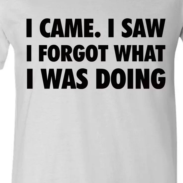 I Came I Saw I Forgot What I Was Doing Sarcastic V-Neck T-Shirt