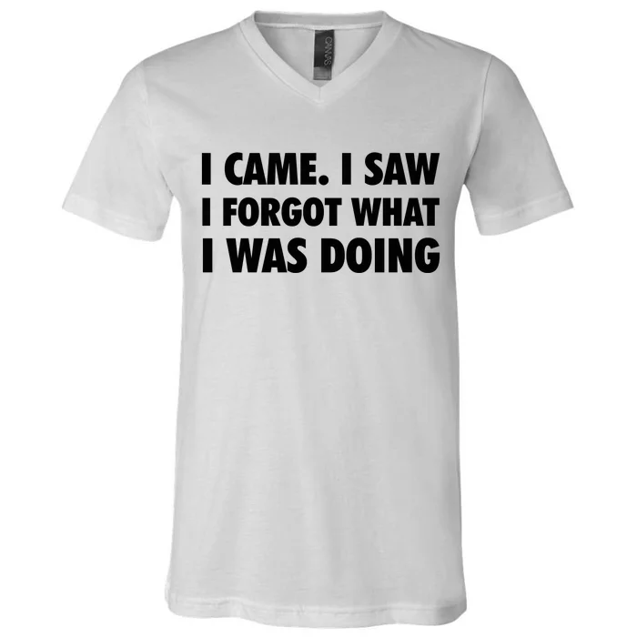 I Came I Saw I Forgot What I Was Doing Sarcastic V-Neck T-Shirt