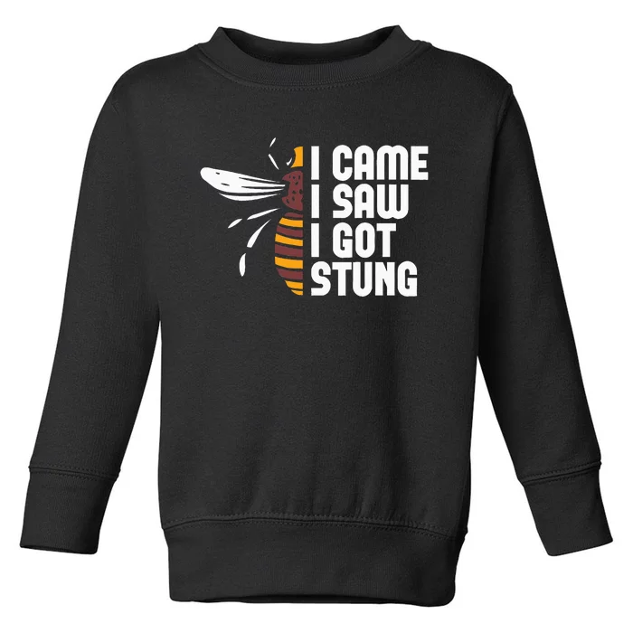 I Came I Saw I Got Stung Funny Beekeeper Bees Beekeeping Toddler Sweatshirt