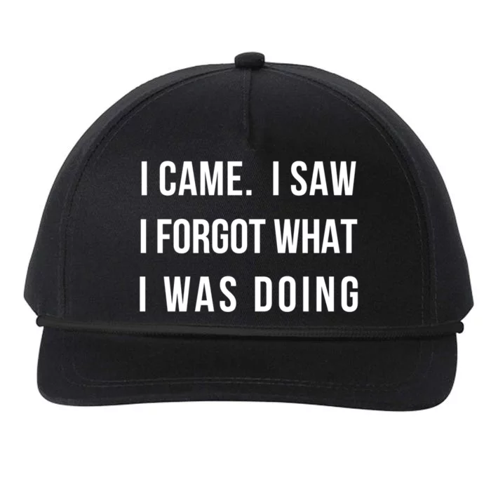 I Came I Saw I Forgot What I Was Doing Sarcastic Tee Gift Snapback Five-Panel Rope Hat