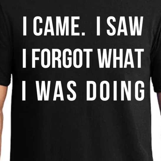 I Came I Saw I Forgot What I Was Doing Sarcastic Tee Gift Pajama Set